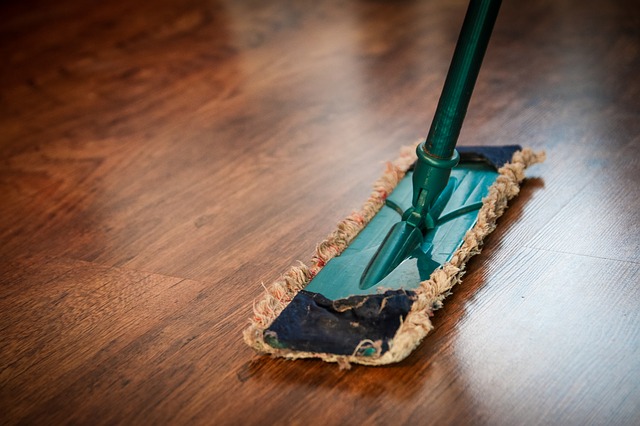 Cleaning Your Home: Tips and Tricks